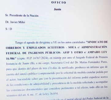 Teléfono al presidente: juez de Junín envió un oficio a Milei