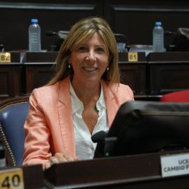 Inseguridad: la UCR presiona en la Legislatura por la falta de efectivos policiales en el interior