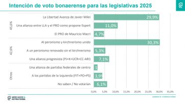 Kicillof vs Milei: persiste la polarización de cara a las elecciones de medio término