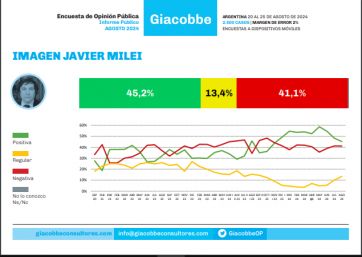 La imagen de Javier Milei no repunta pese a la denuncia de Alberto Fernández