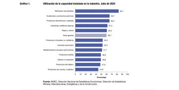 Industria Manufacturera: la capacidad instalada se ubicó por debajo del 60% en julio