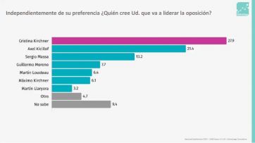 El 2025 se palpita con Milei a la baja y liderazgos repartidos en la oposición