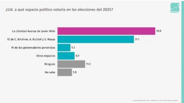 El 2025 se palpita con Milei a la baja y liderazgos repartidos en la oposición