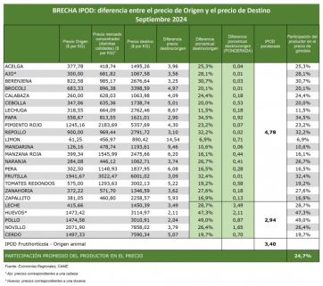 El camino de la pérdida: del campo a la góndola los precios se multiplicaron por 3