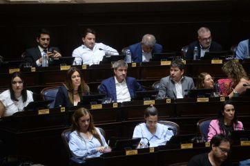 Sin mayores inconvenientes, Diputados aprobó la Ley Lucio