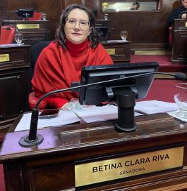 Ravioles, panqueques y varios tortazos en el menú de jueves del Senado