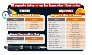 Interna libertaria: las fuerzas del cielo, del suelo y de la casta