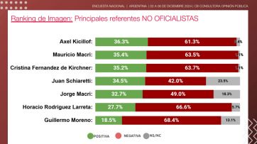 El primer año de Milei: qué dice la encuesta que hizo un balance de la gestión libertaria