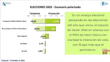 Qué dice la encuesta que mira la Rosada sobre una alianza entre libertarios y el PRO