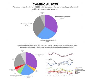 Milei festeja y relega al PRO en el escenario electoral 2025