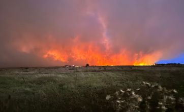 Incendio en la Reserva natural de Punta Lara: lograron contener las llamas