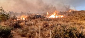 Arde el sur: el mapa de los incendios