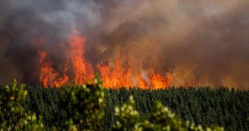 Arde el sur: el mapa de los incendios