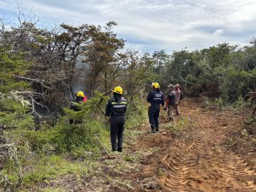 Arde el sur: el mapa de los incendios