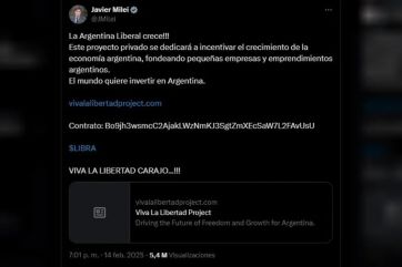 Escándalo, casta y una promoción por redes que complicó al presidente Milei