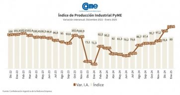 Industria pyme: hubo un crecimiento del 12,2% anual en enero