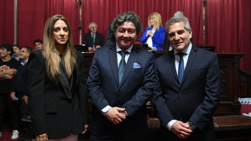 Libertarios blue cambian de nombre en el Senado y se alejan de Pareja