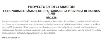 Inundaciones: buscan declarar la emergencia