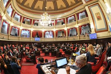 Senado: Magario le da impulso a las reelecciones indefinidas