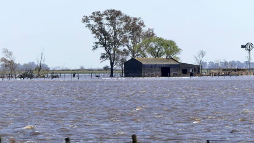 Kicillof puso el gancho y se declara la emergencia agropecuaria en 12 distritos