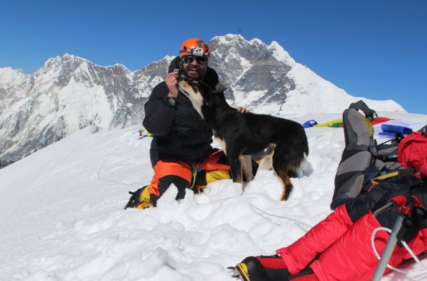 La historia de Baru, la primera perra callejera en conquistar el Himalaya