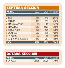 Novena sección electoral: los extranjeros