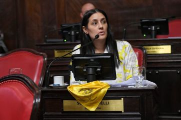 Re re complicado: las reelecciones indefinidas en Diputados, un dolor de cabeza para UxP