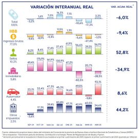 Números en rojo: informe muestra que cayó la recaudación en la Provincia un 6%