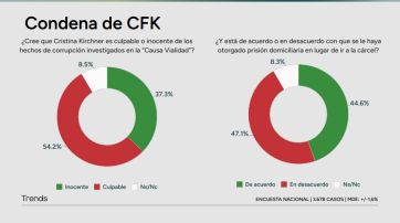 Encuesta: la nueva grieta que atraviesa lo político y apunta a lo económico