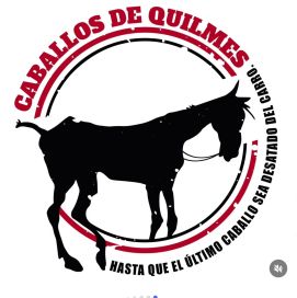 ¡Salvemos el Hospital Equino! Únete a la Colecta de Caballos de Quilmes