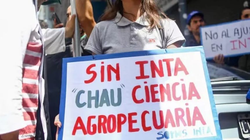 Decretazo y desague