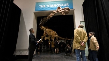 El titanosaurio 
