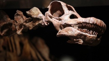 El titanosaurio 