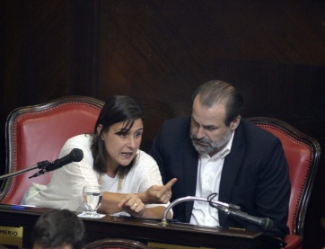 El Senado aprobó las leyes del Ejecutivo y salió airoso el juego legislativo de Vidal