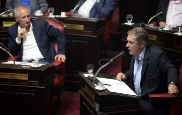 El Senado aprobó las leyes del Ejecutivo y salió airoso el juego legislativo de Vidal