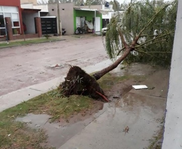 Fuerte temporal produjo severos daños en distritos de la Cuarta