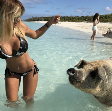 Claudia Ciardone y las fotos hot más bizarras: en la playa ¡rodeada de chanchos!