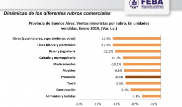 Recesión: la actividad comercial en la Provincia registró una caída de 9,5% en enero